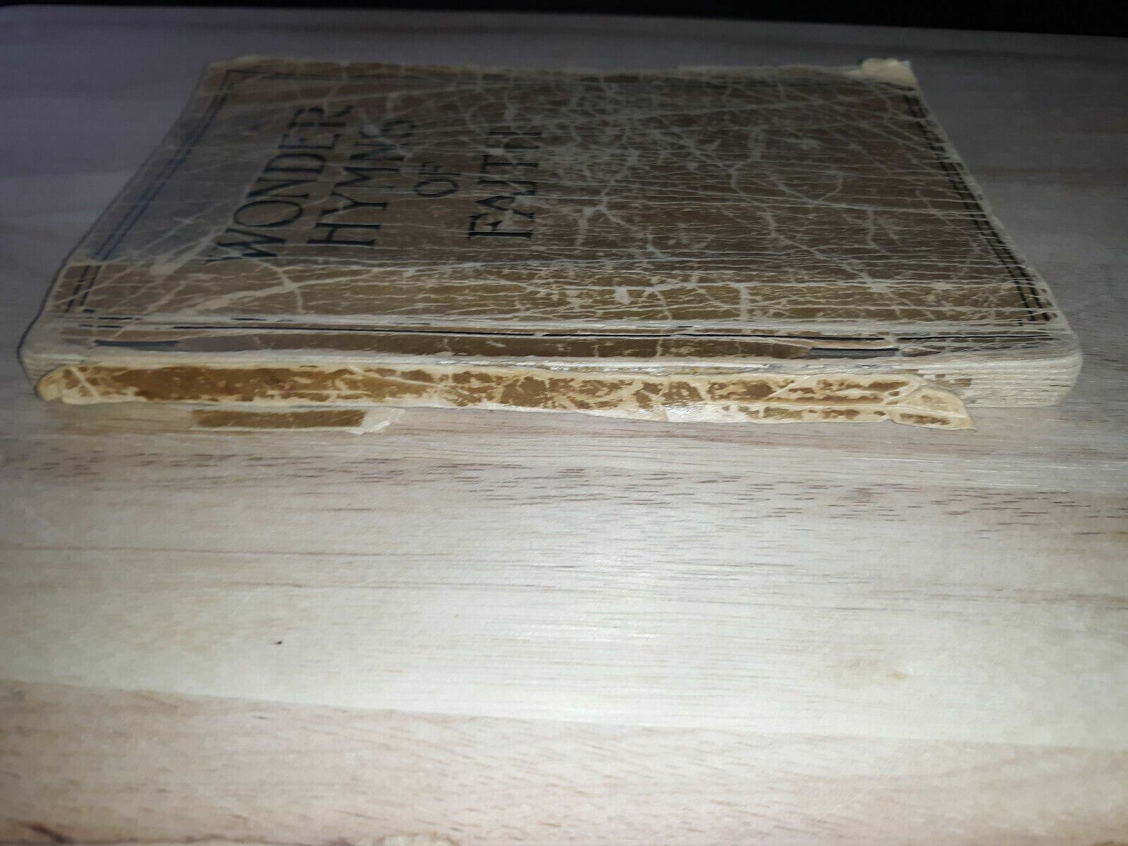 Image #5