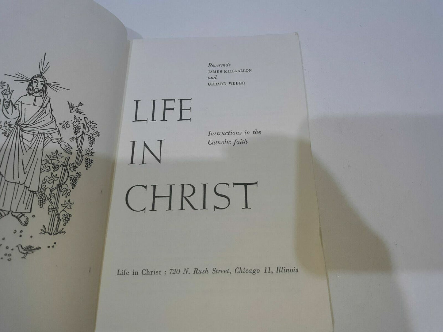 Image #7