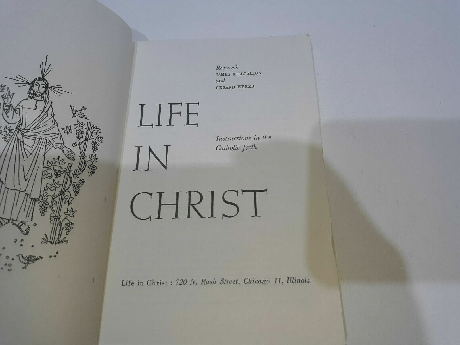 Image #7