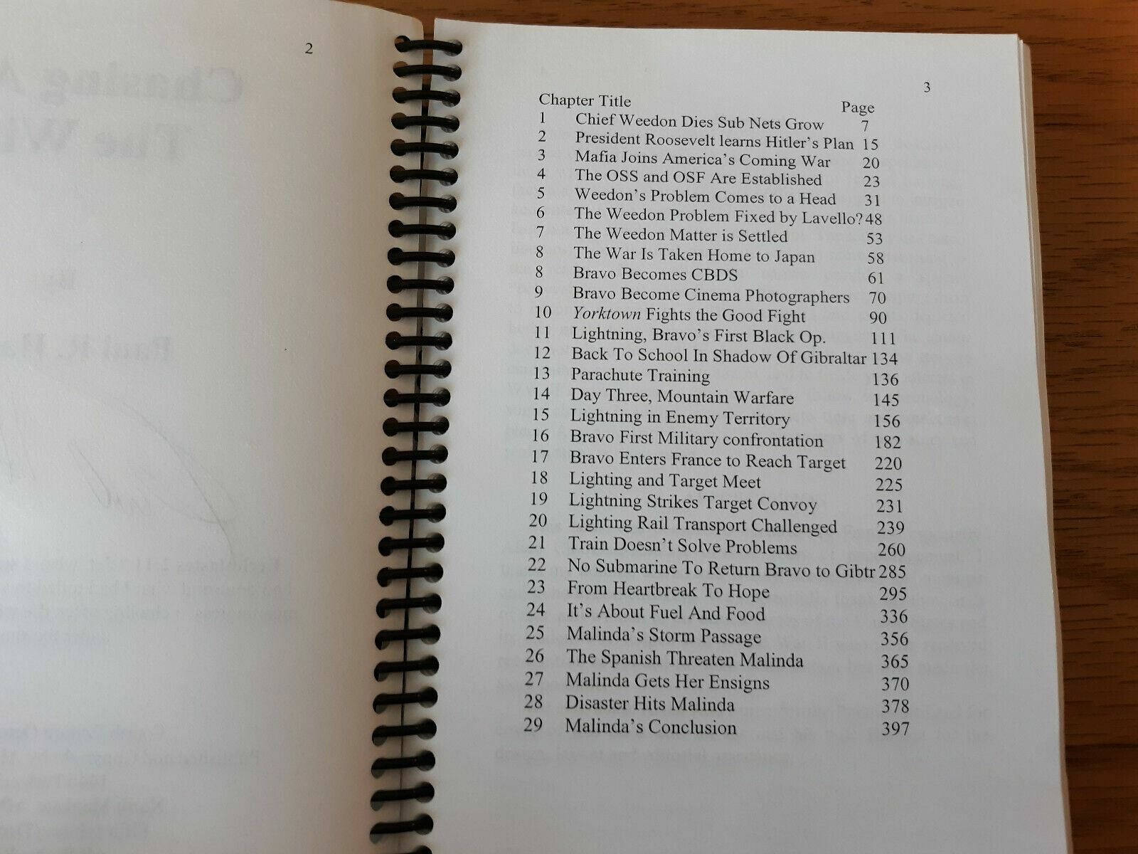 Image #8