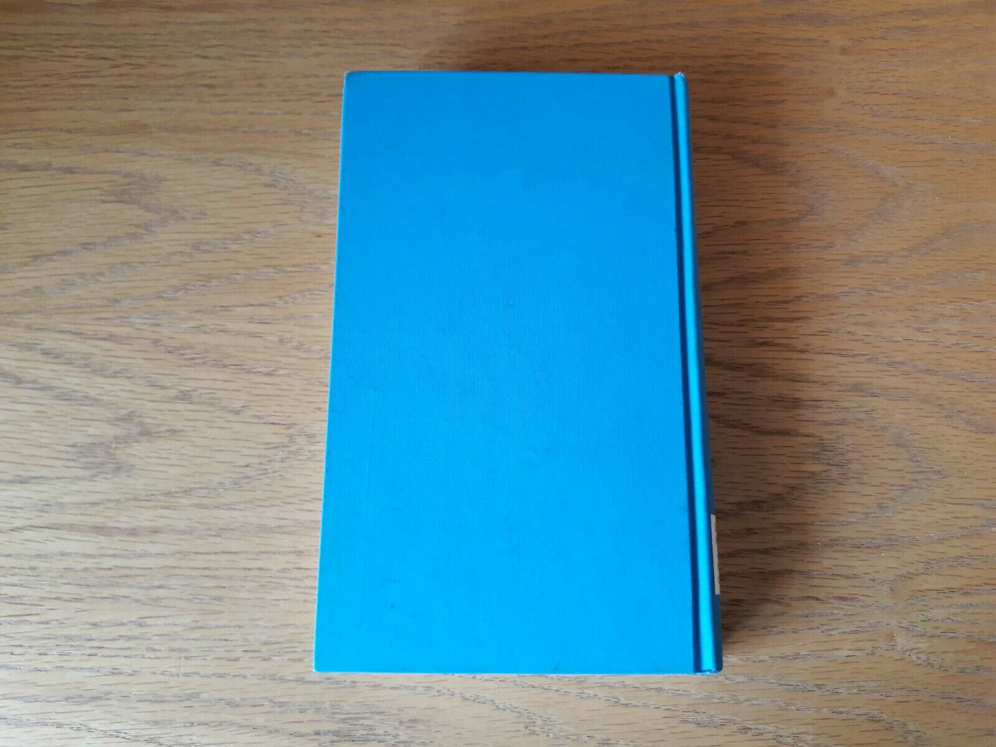 Image #6