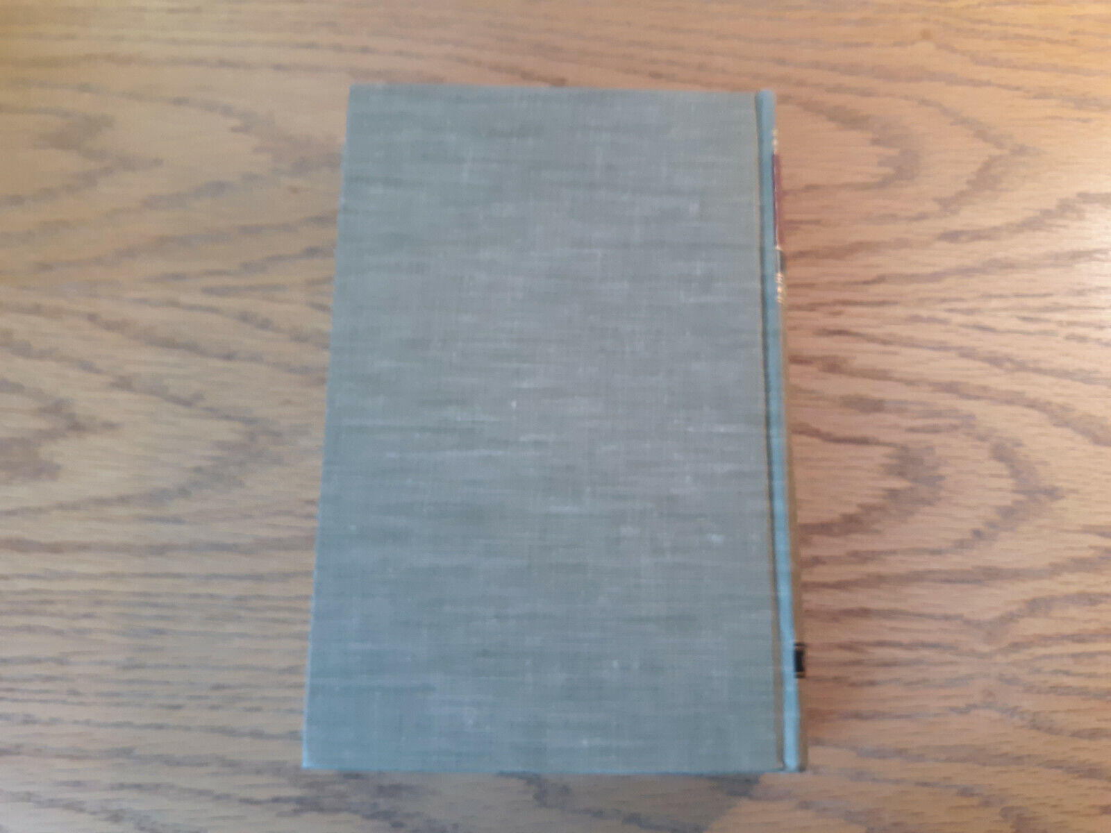 Image #6