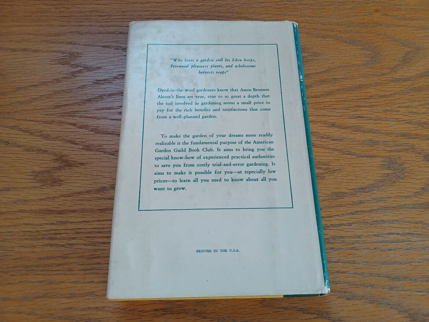 Image #6