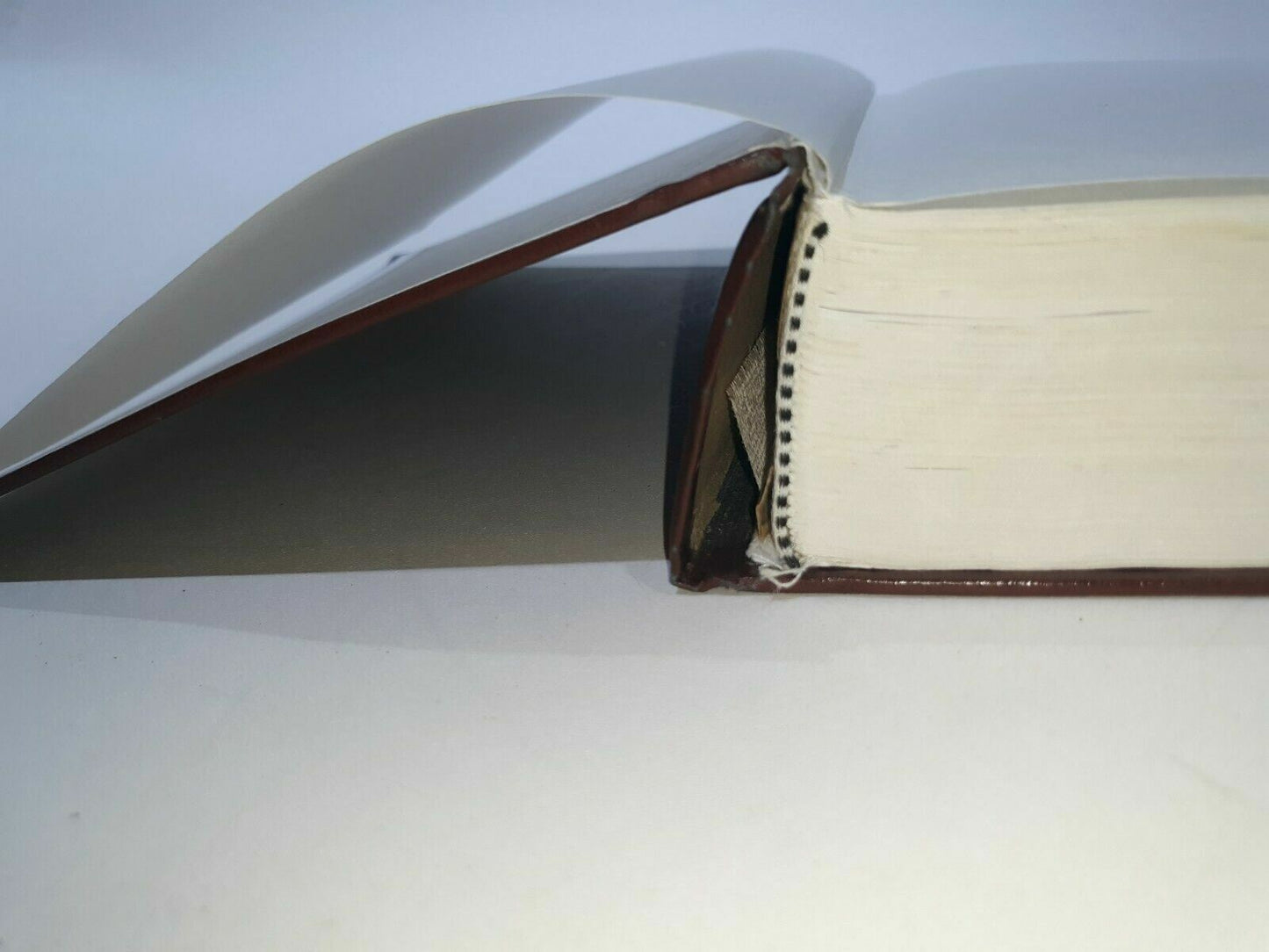 Image #7