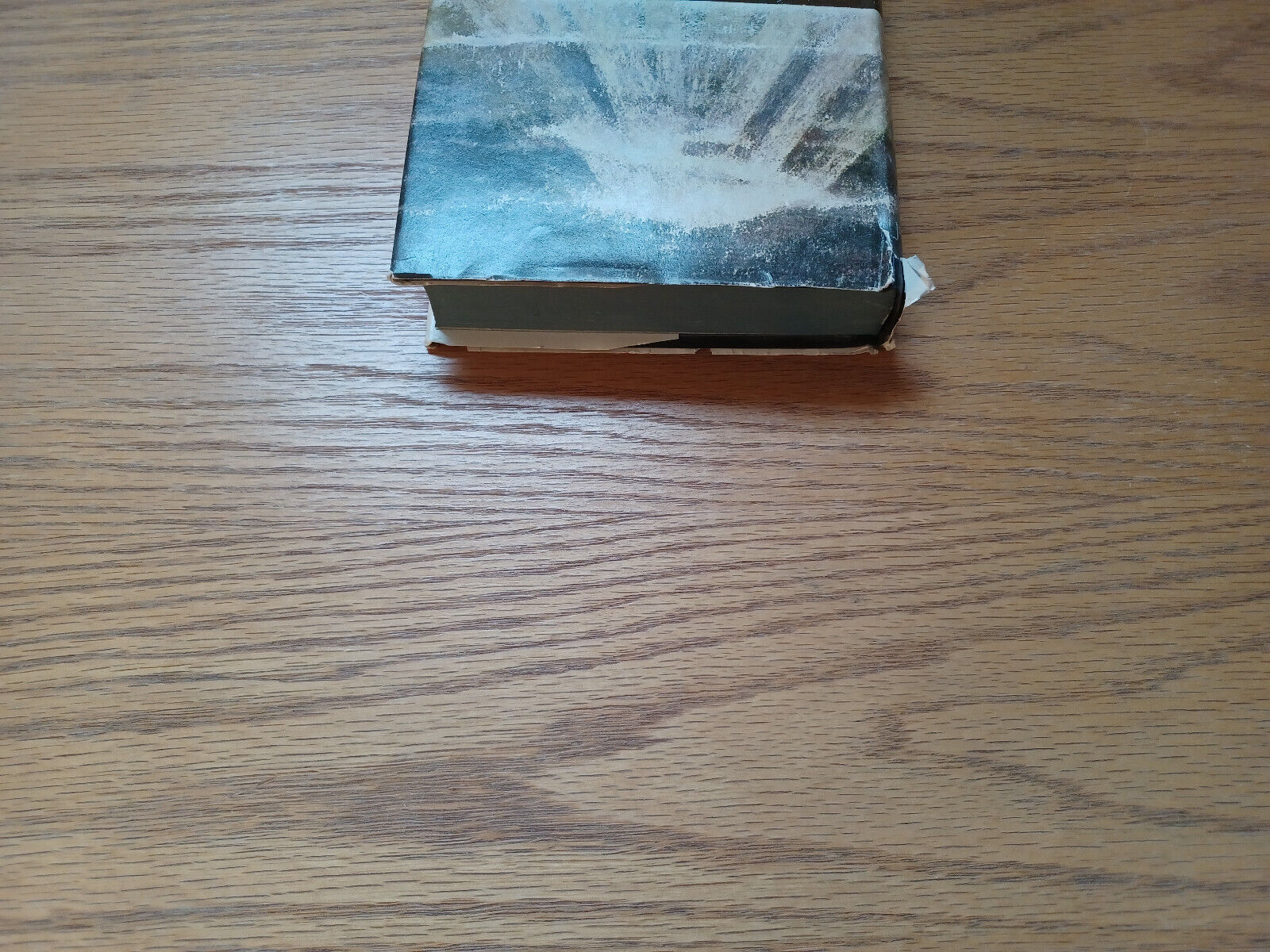 Image #4