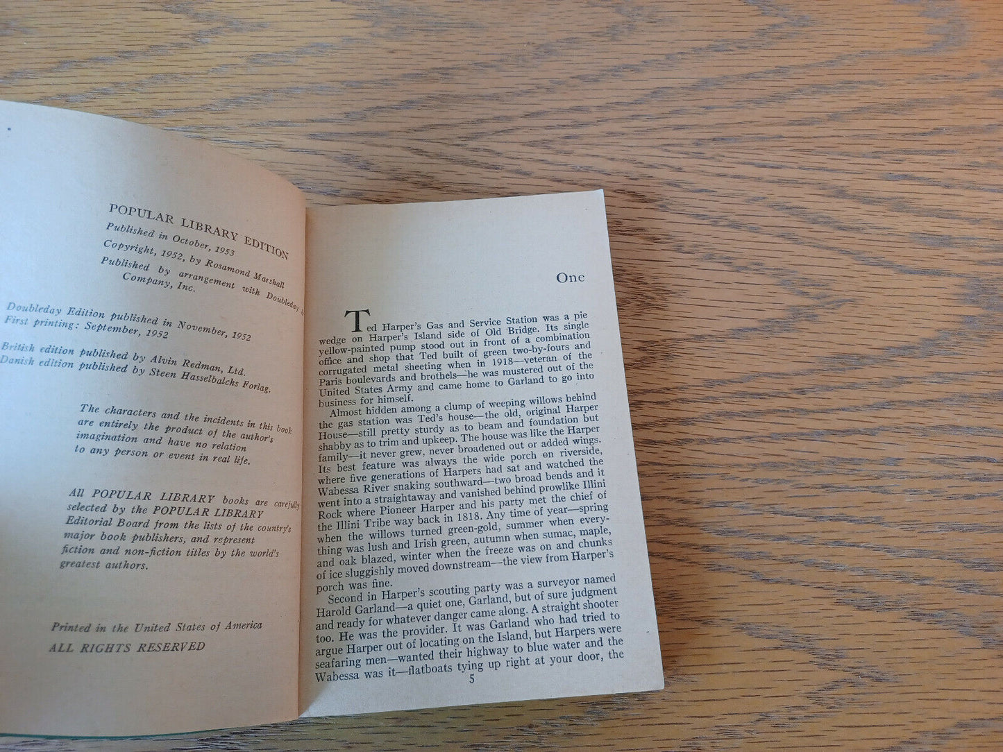 Image #8