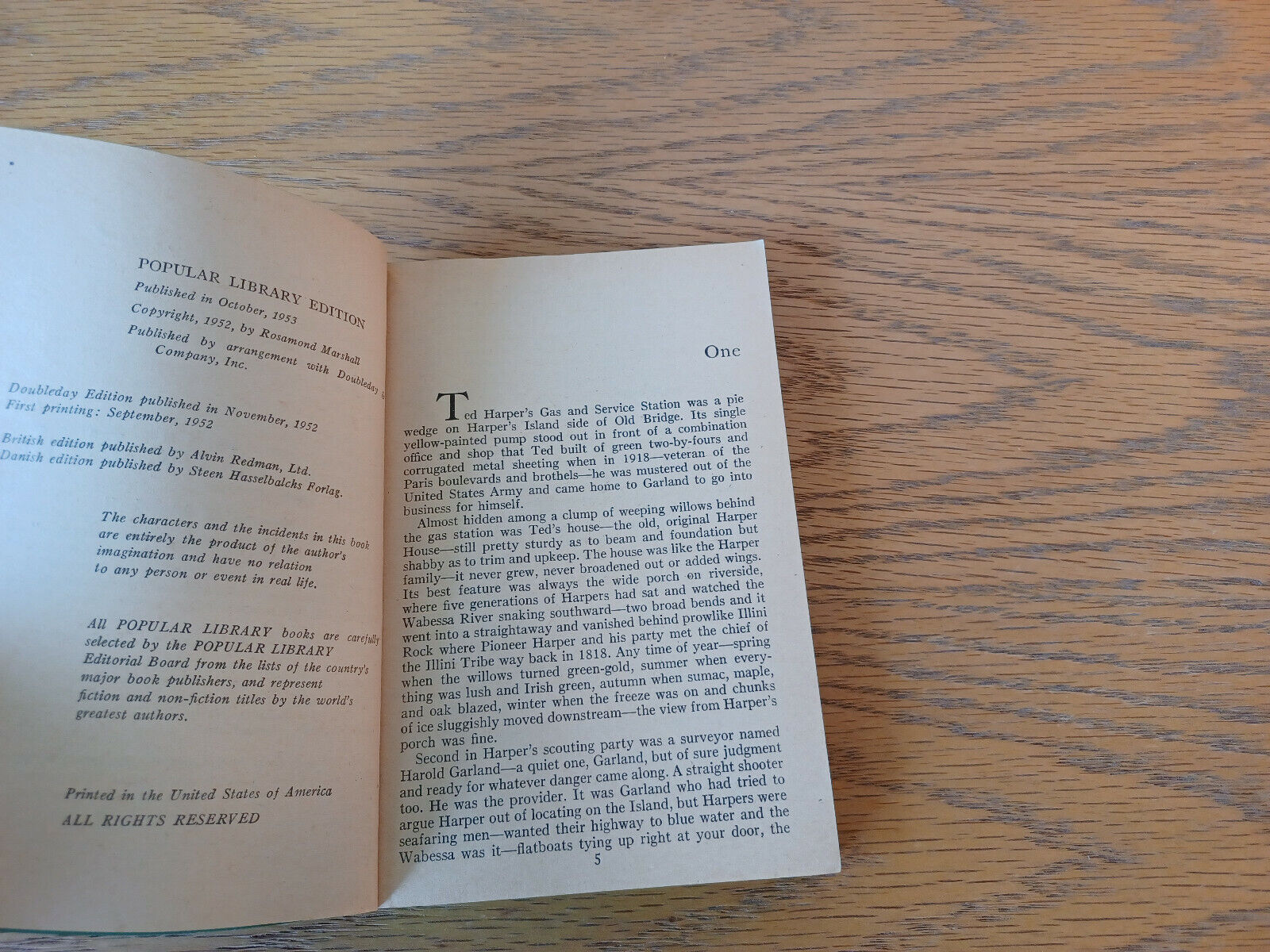 Image #8