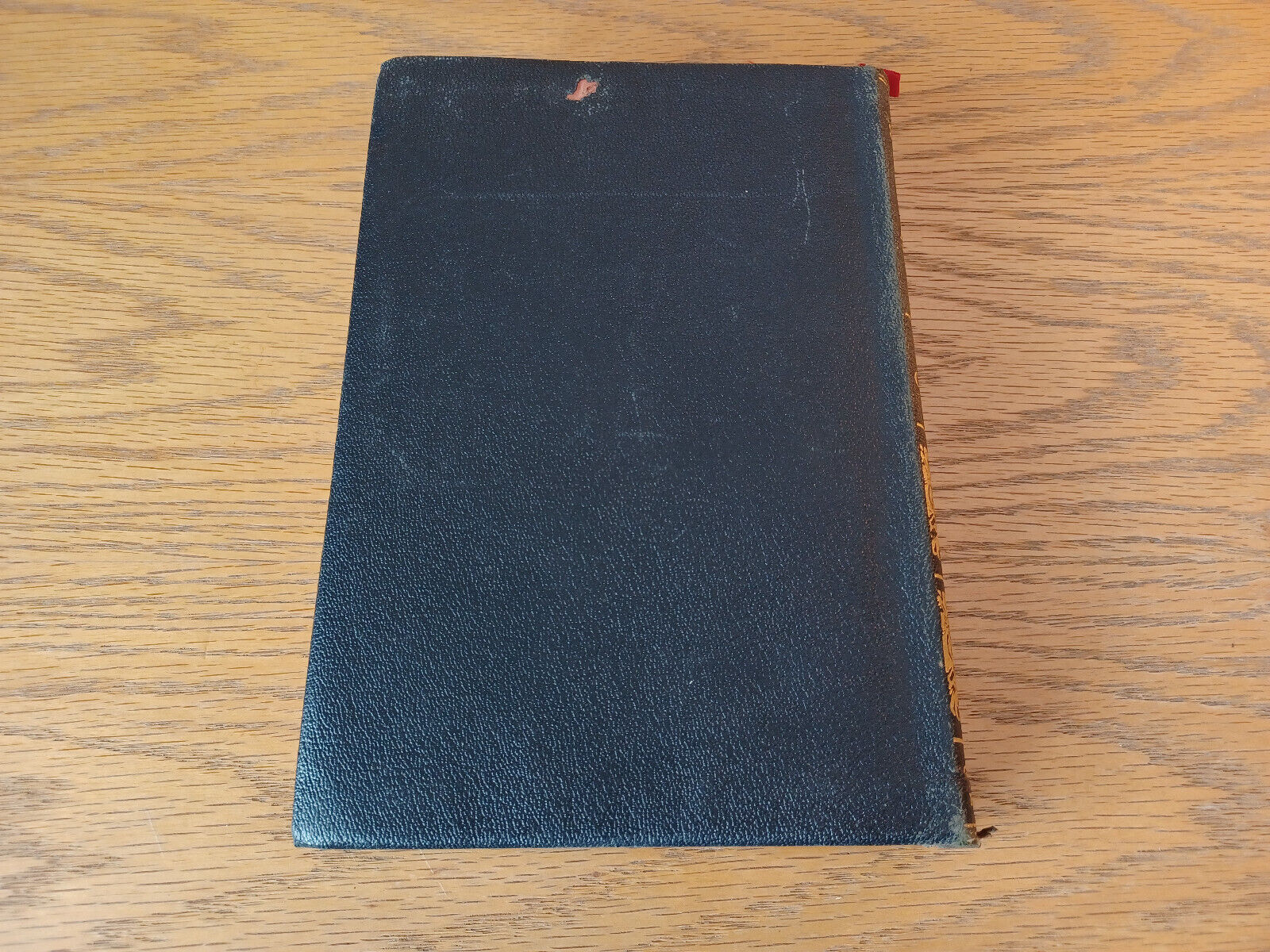 Image #6