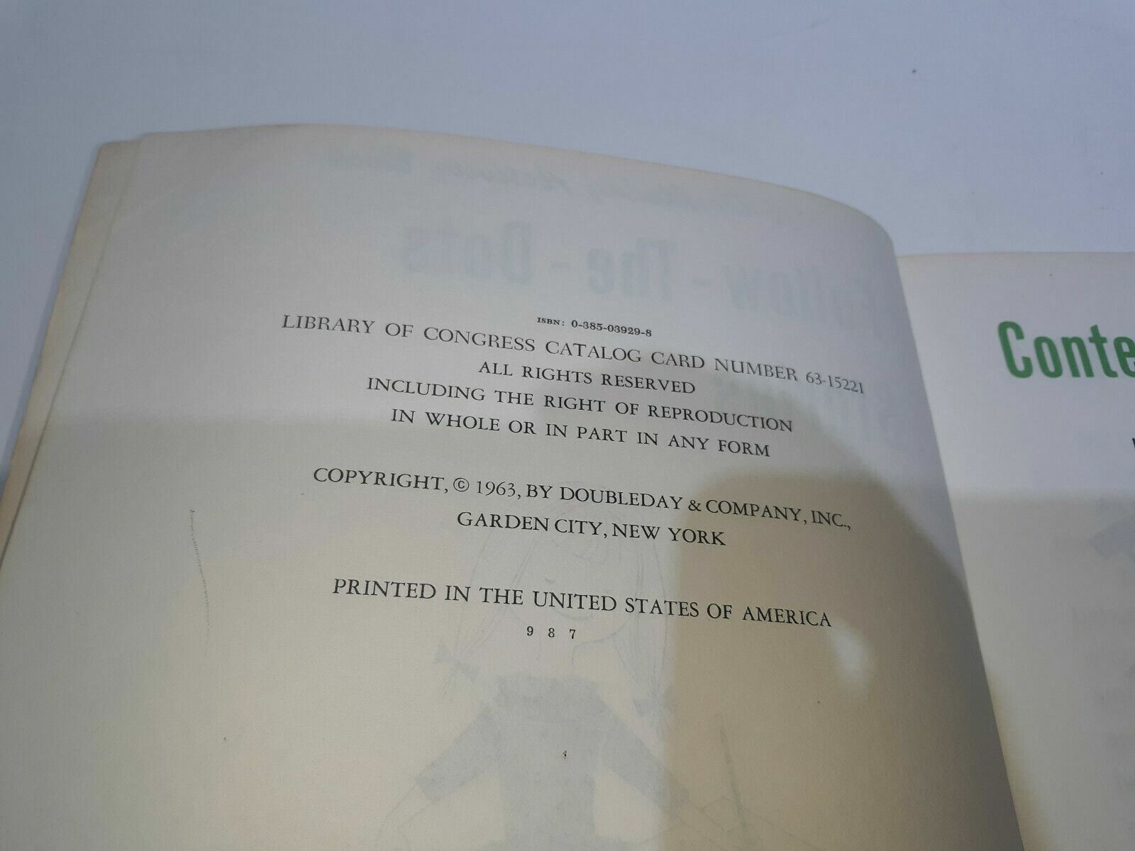 Image #9