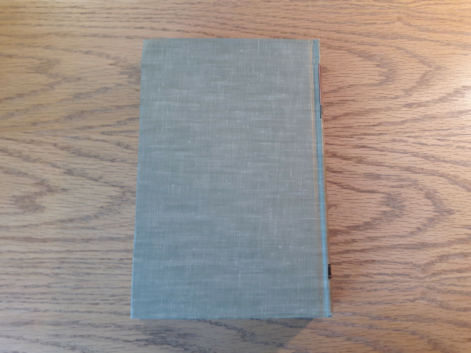 Image #6