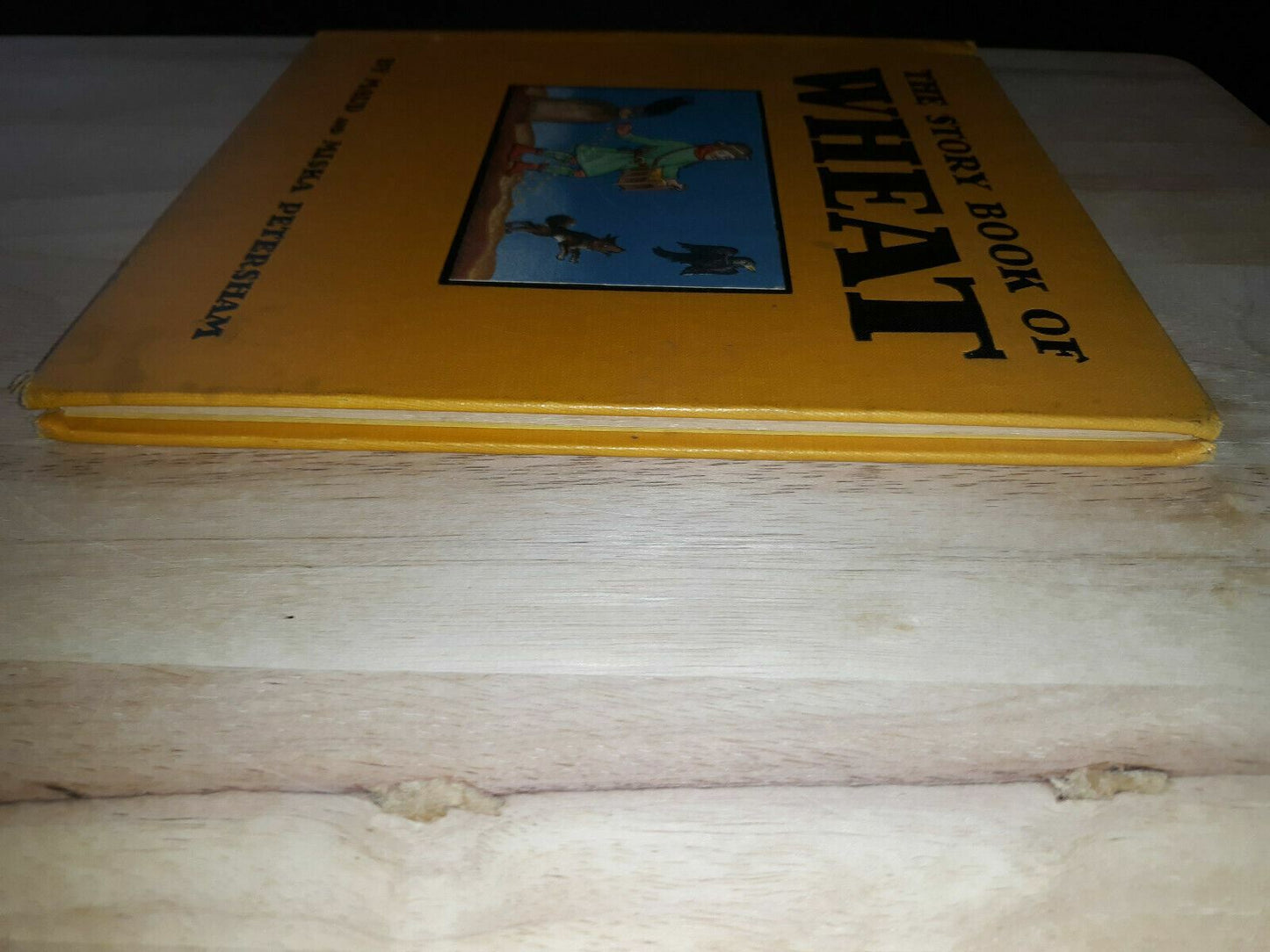 Image #3