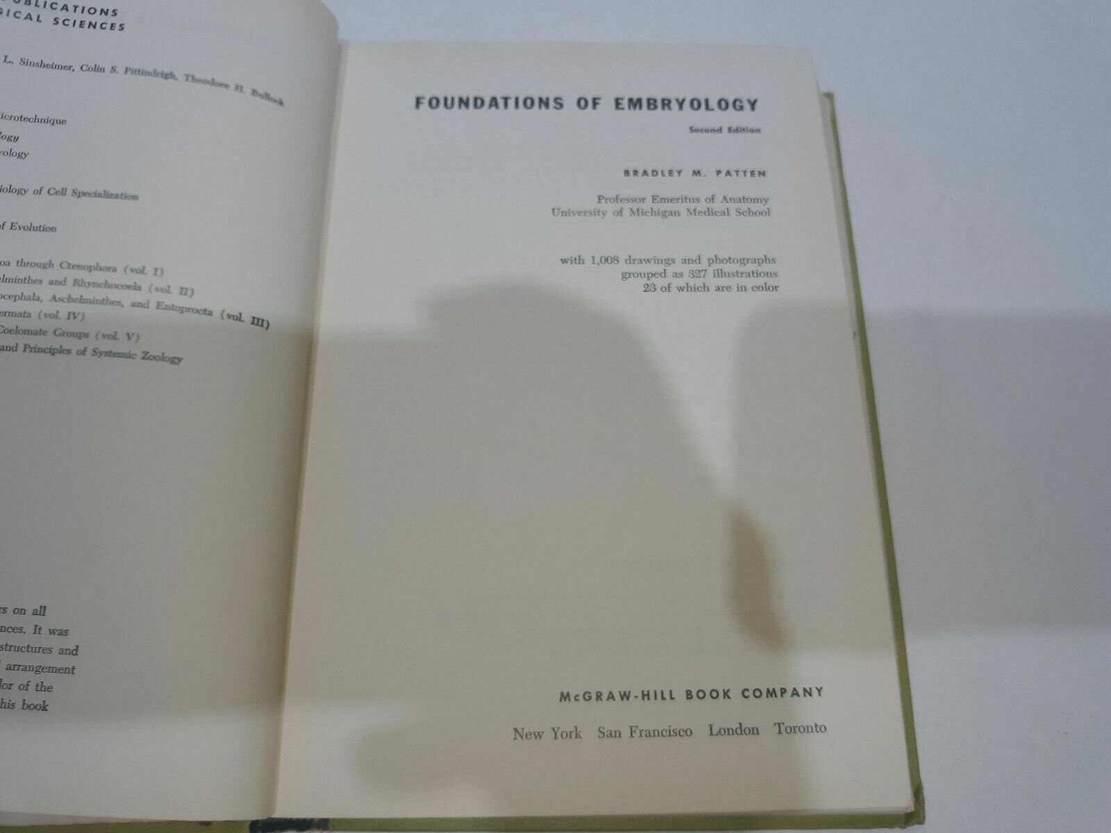 Image #7