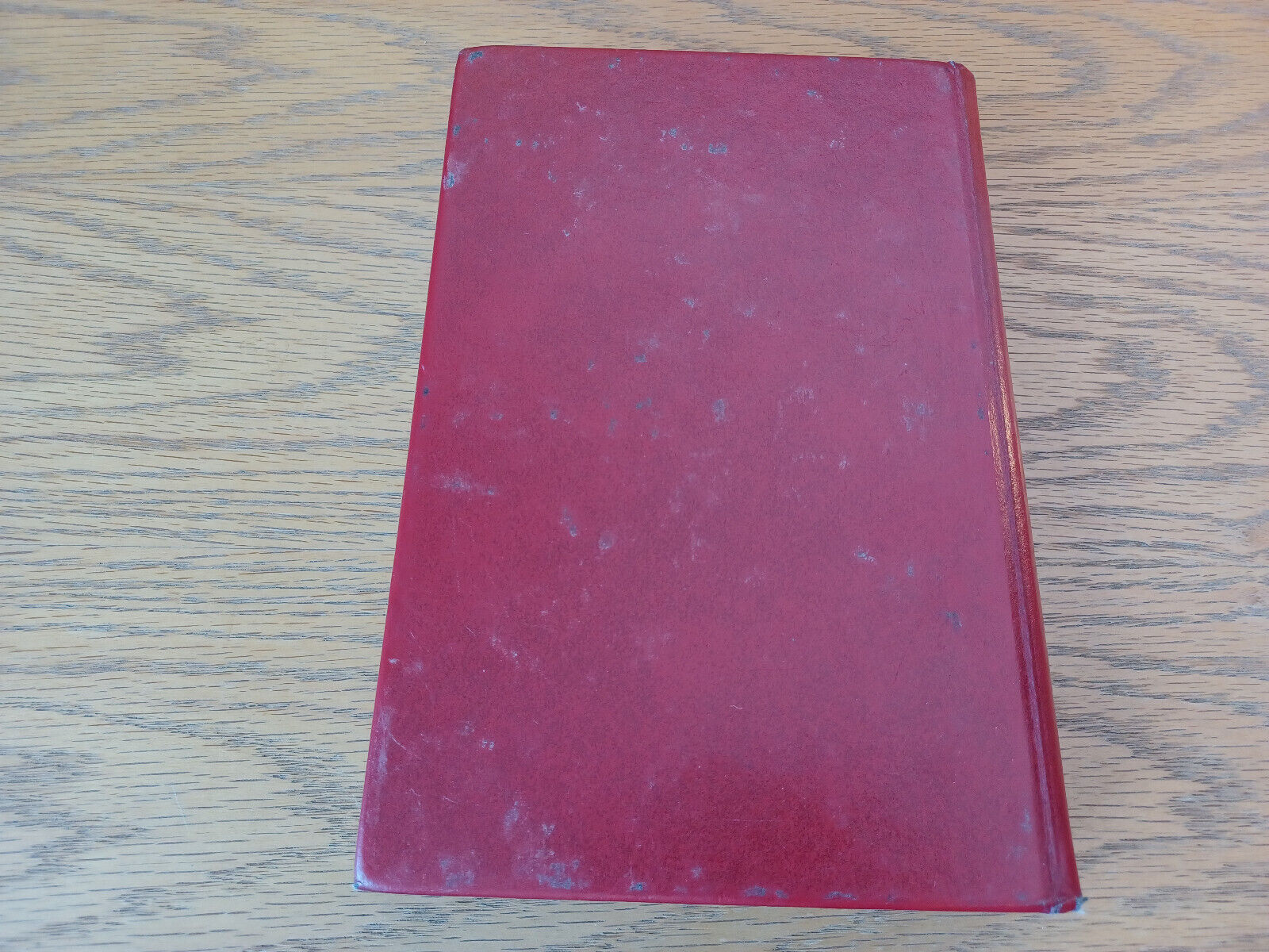 Image #6