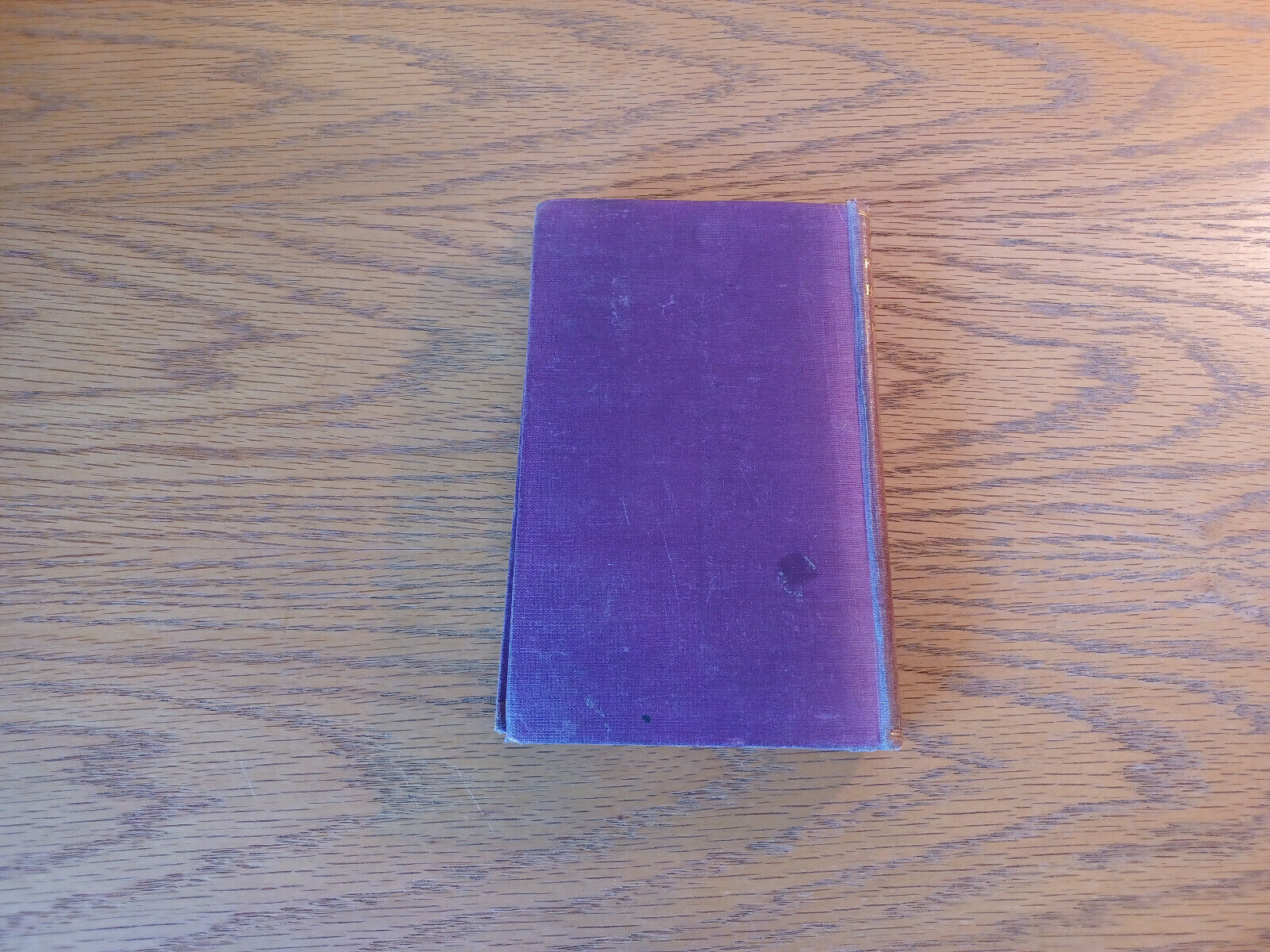Image #6