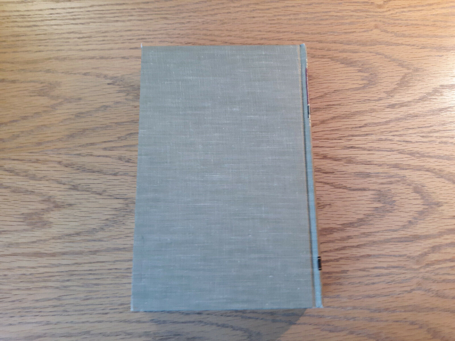 Image #6