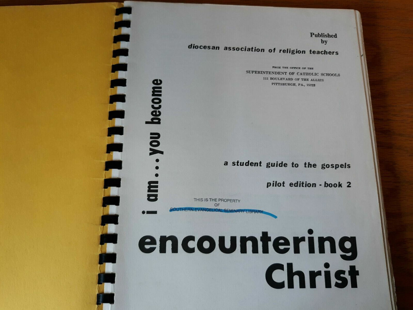 Image #7
