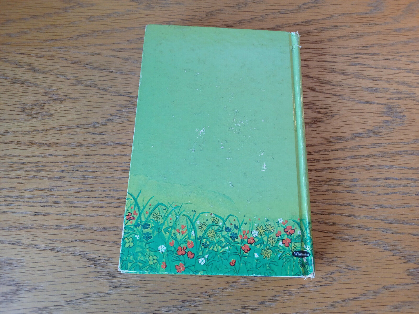 Image #6