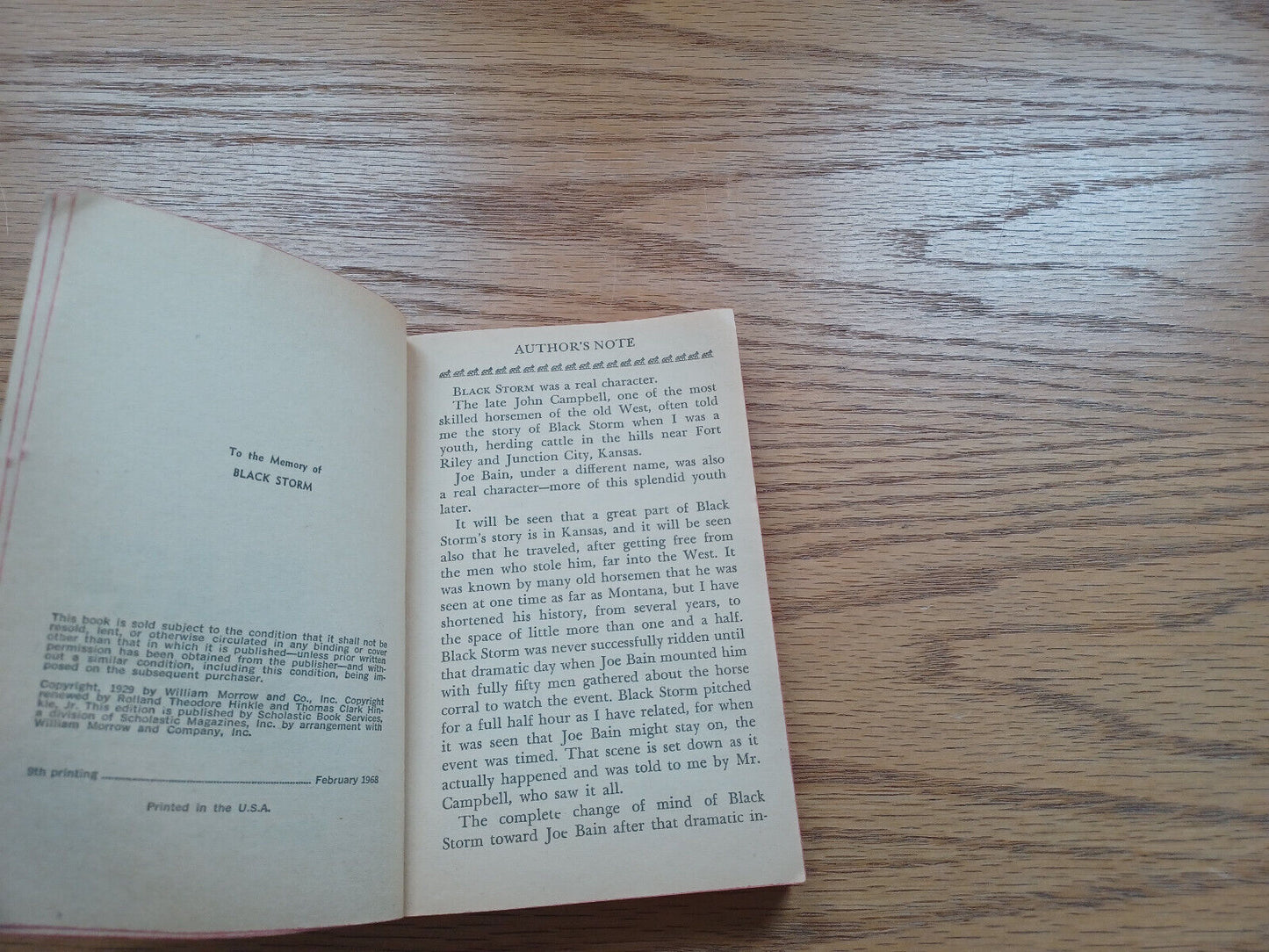Image #8
