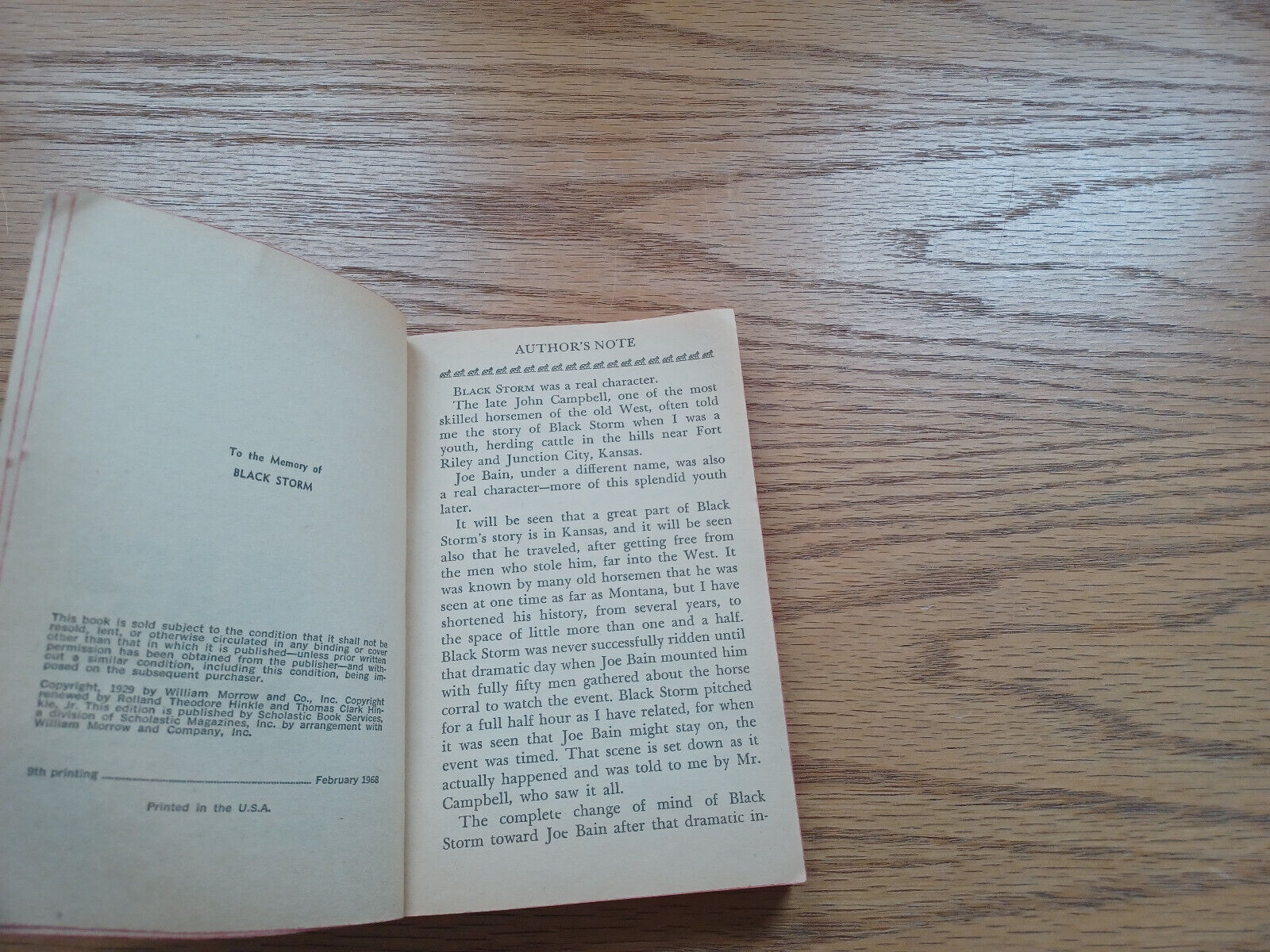 Image #8