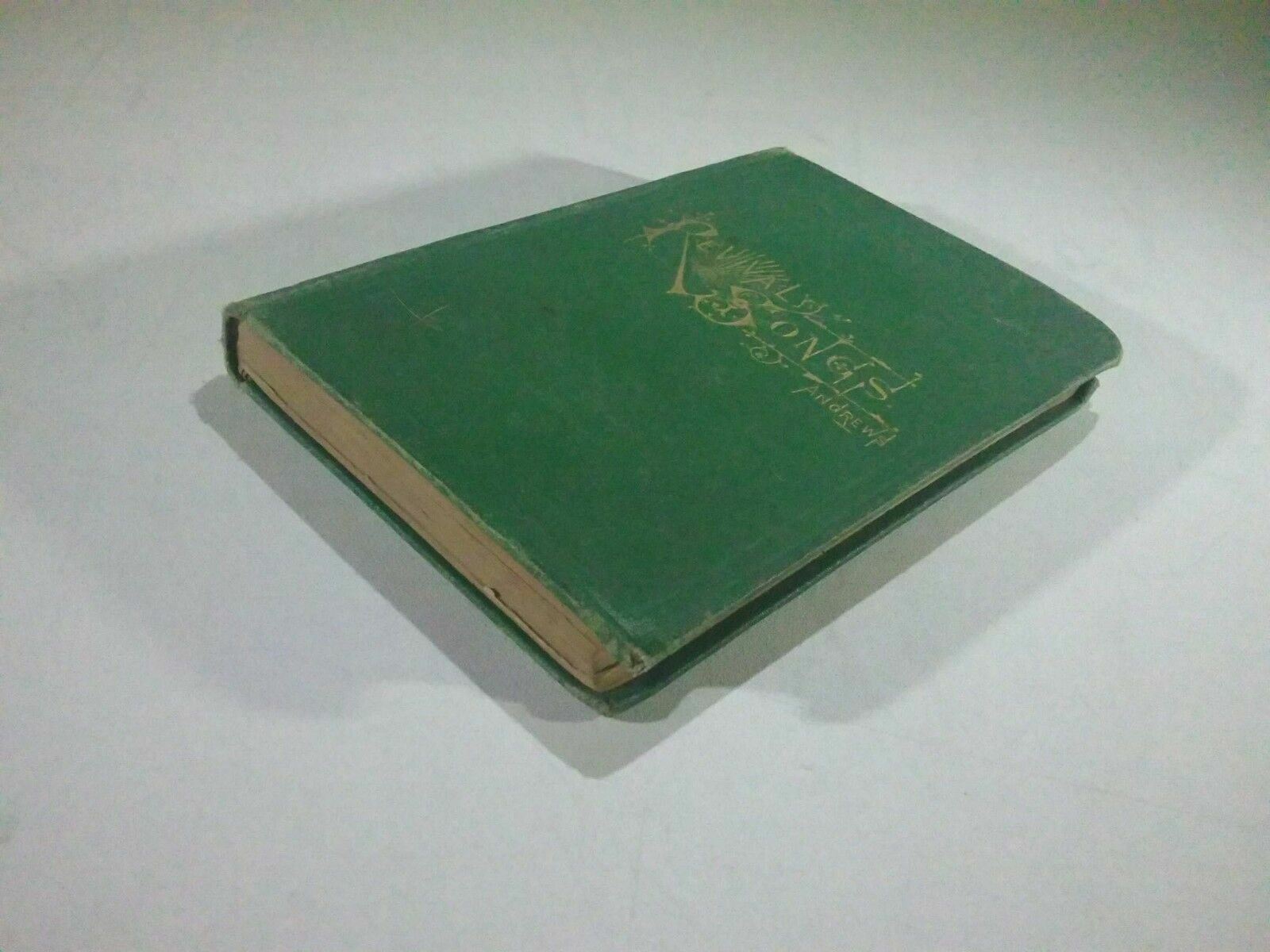 Image #4