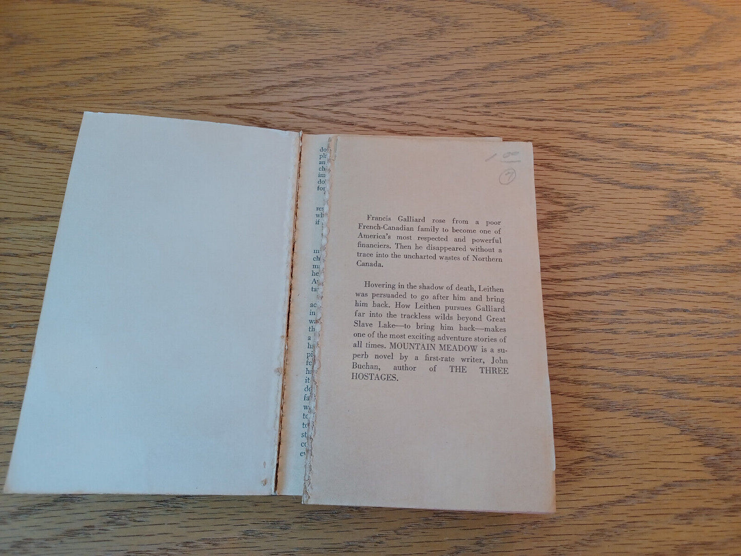 Image #7