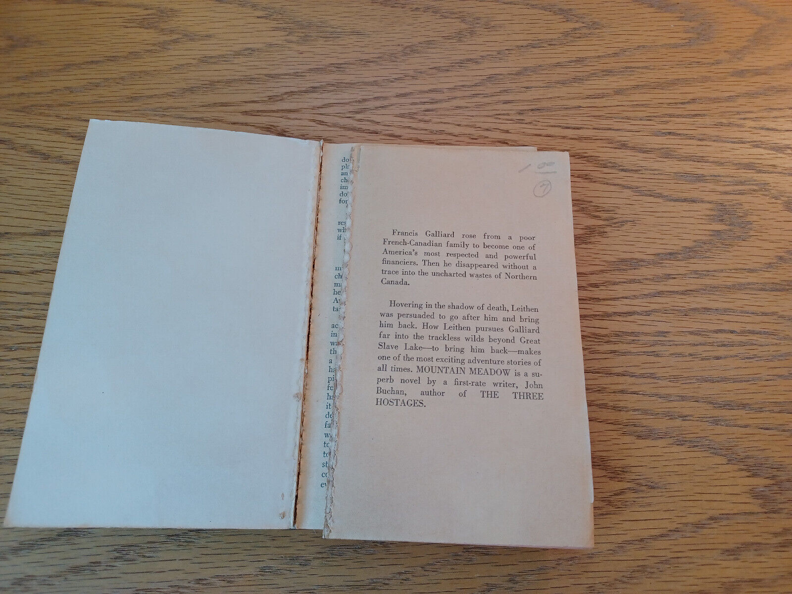 Image #7
