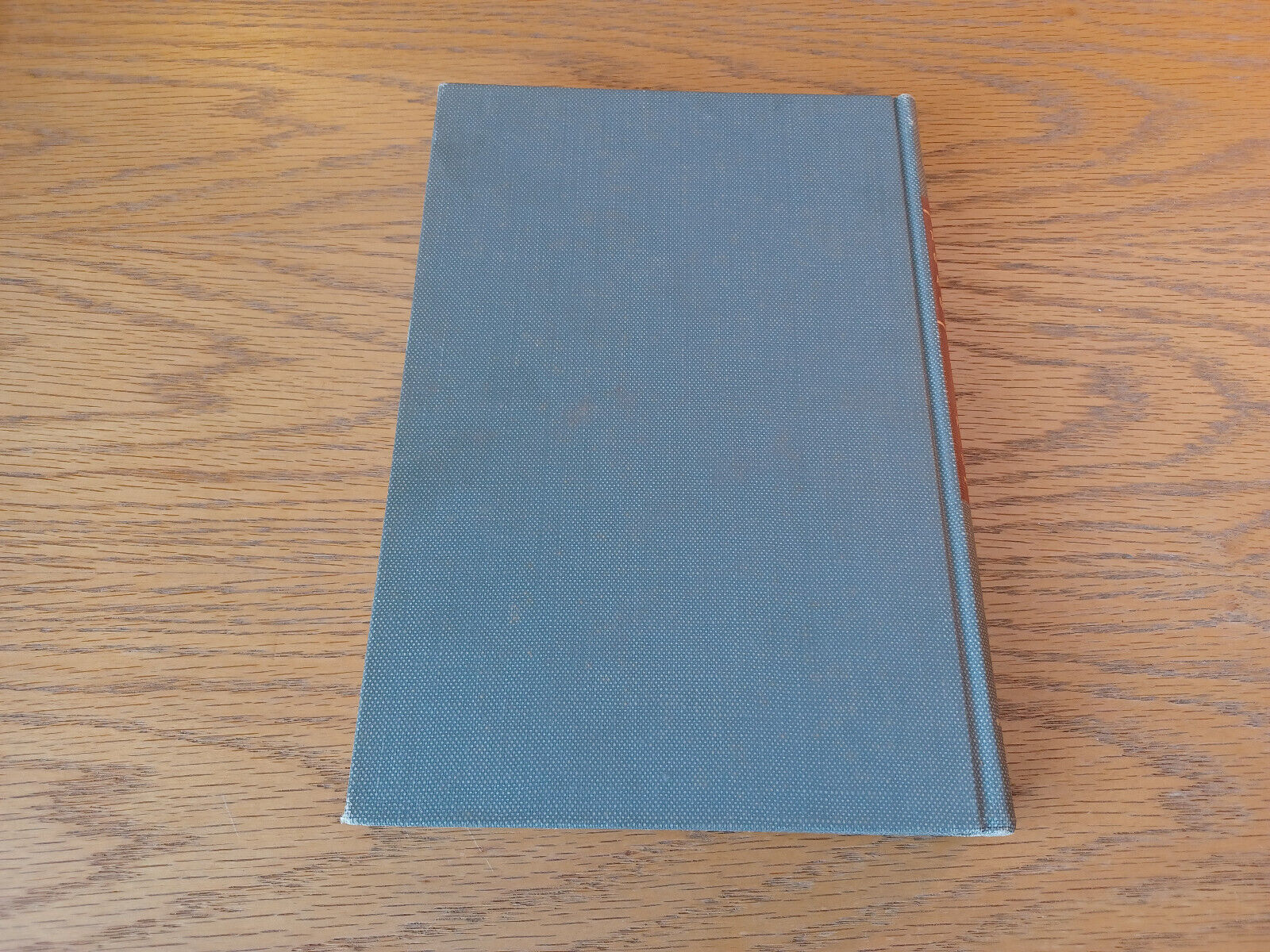 Image #6