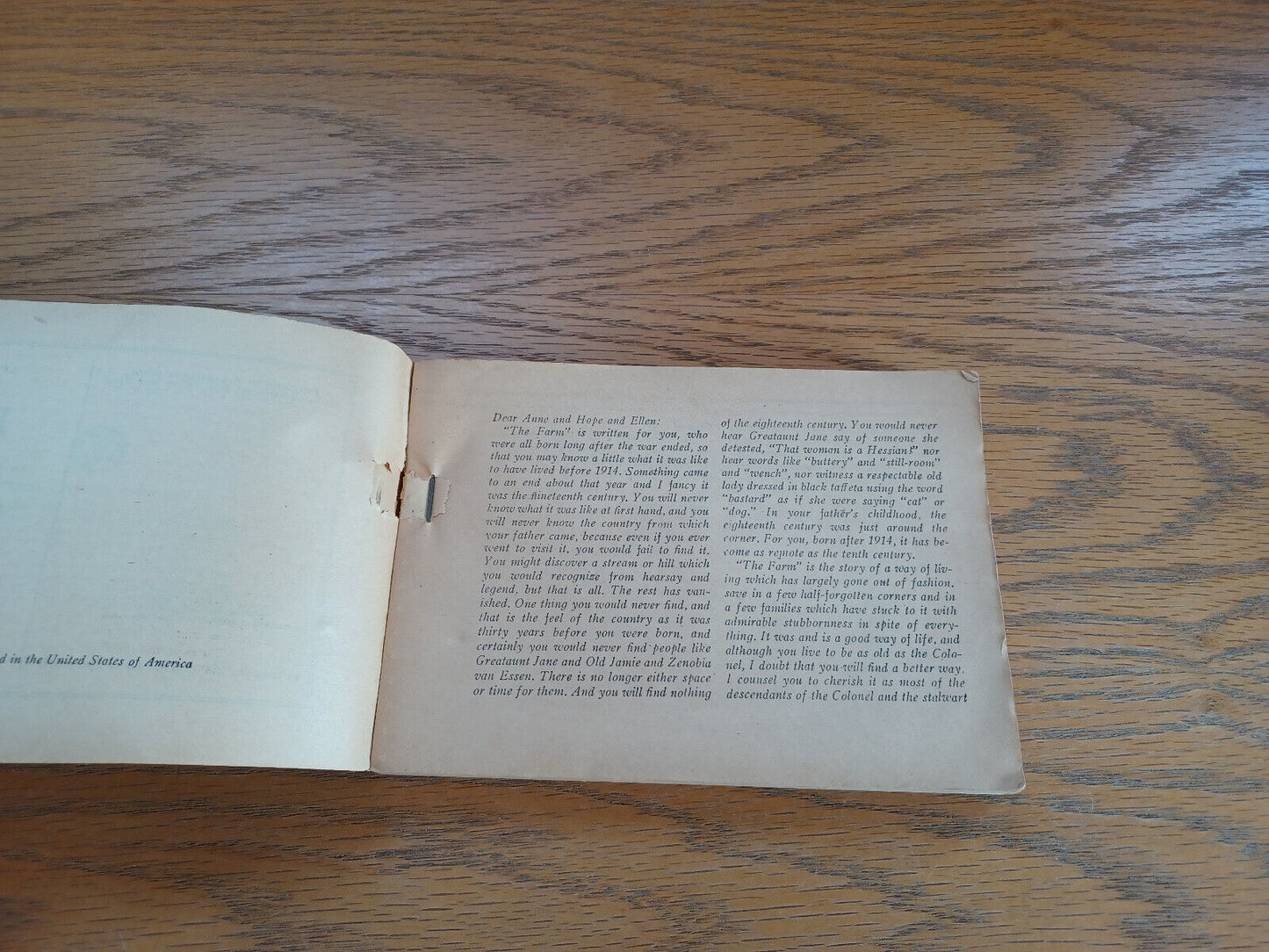 Image #8