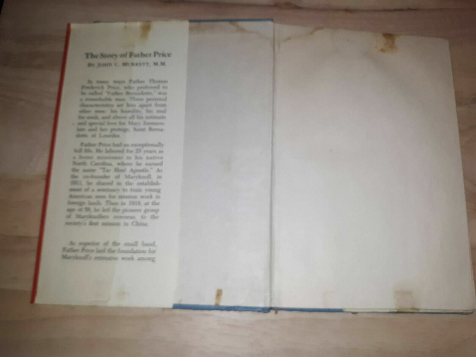 Image #7