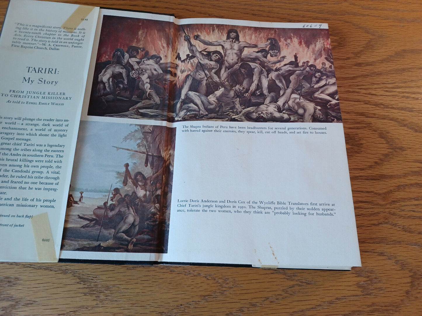Image #7