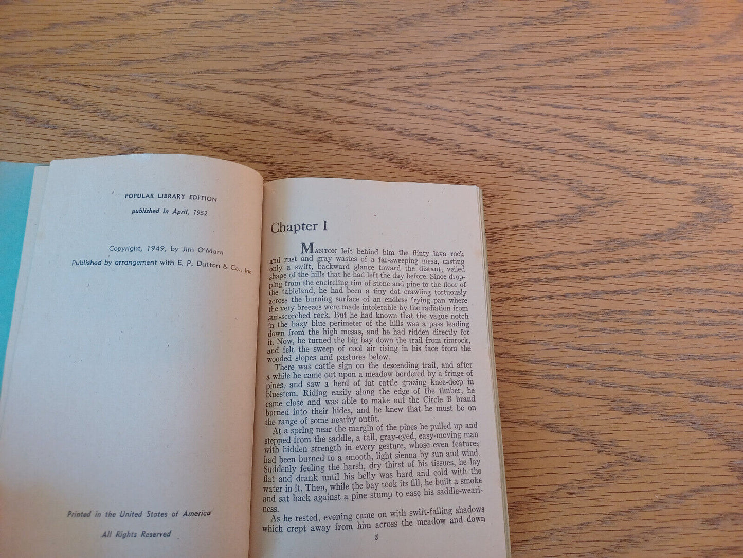 Image #8