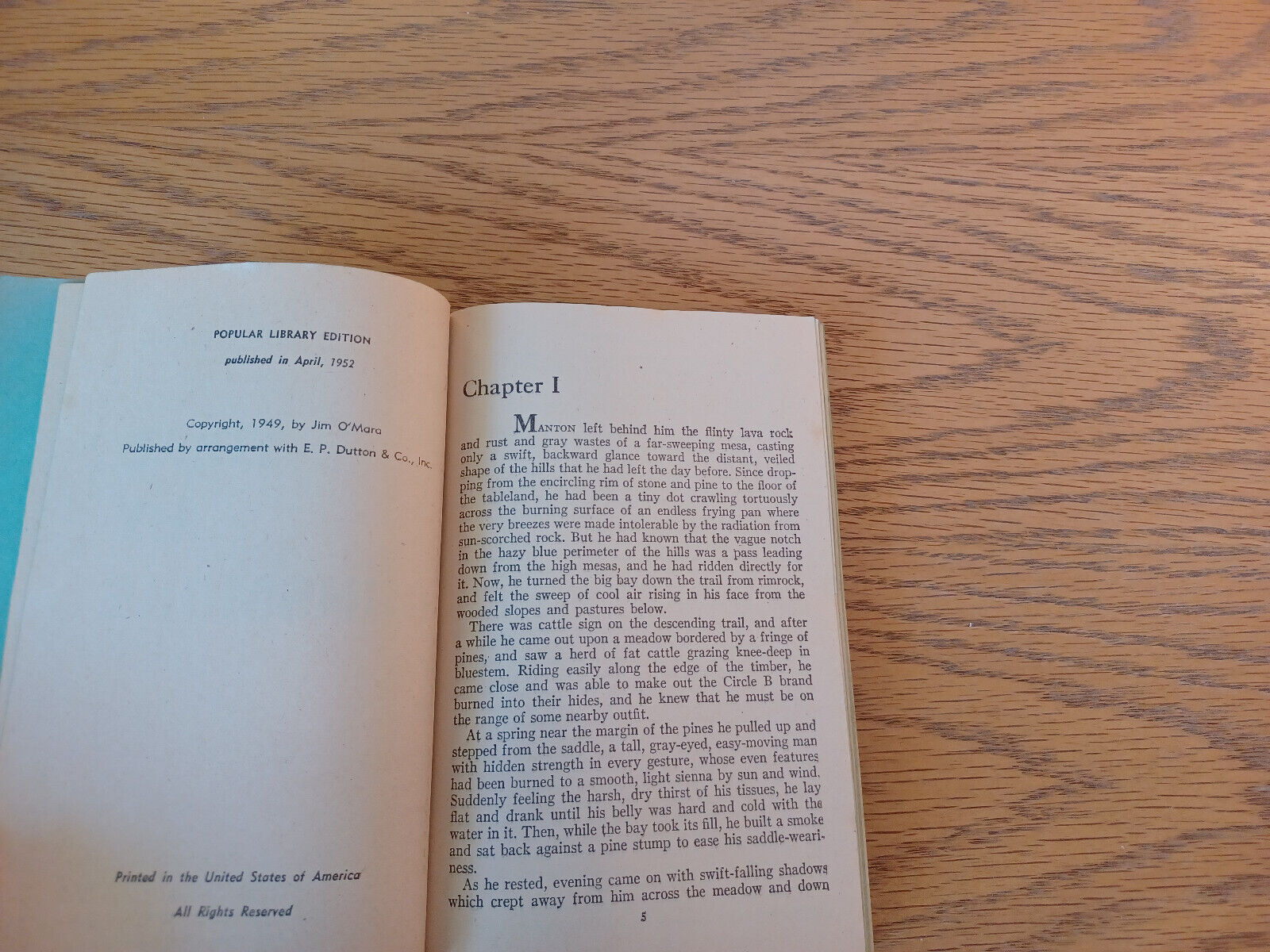 Image #8