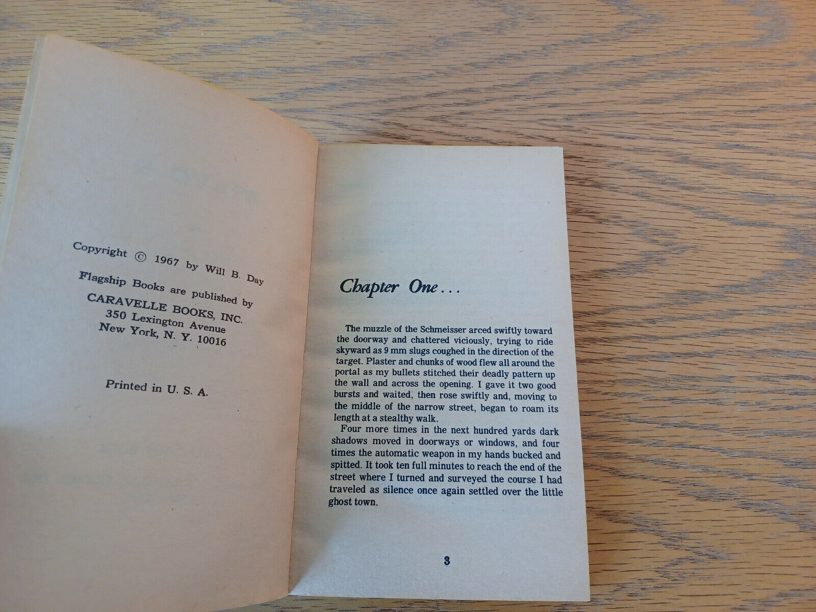 Image #8