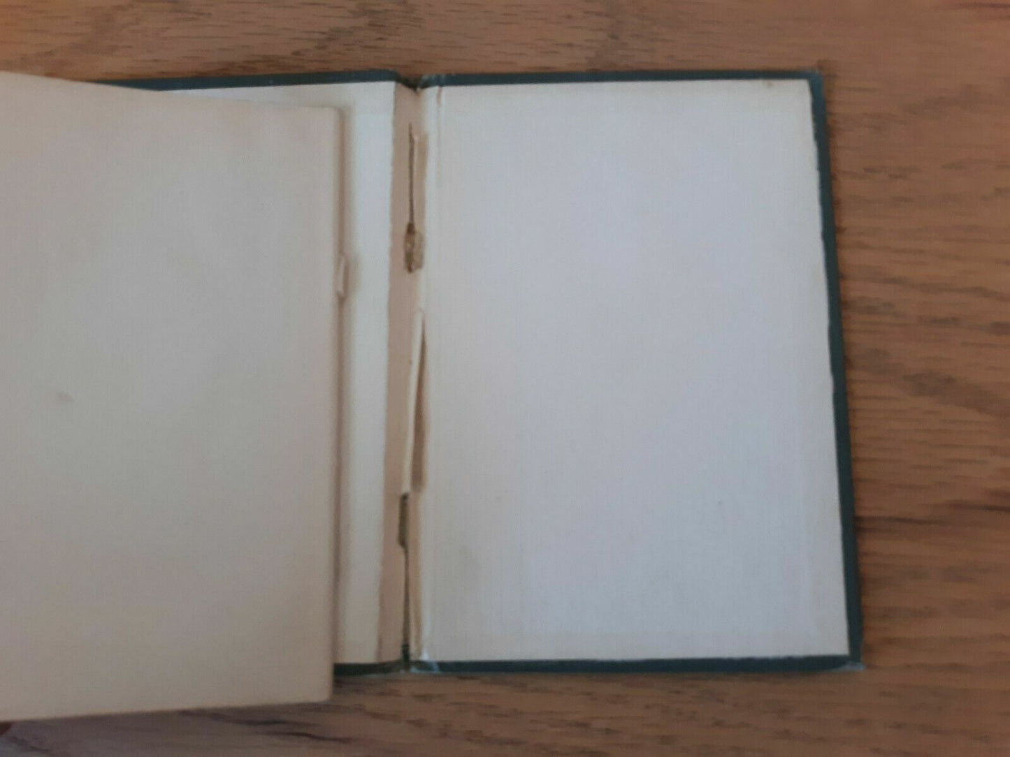 Image #8