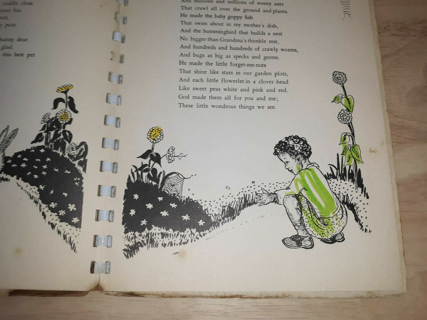 Image #8