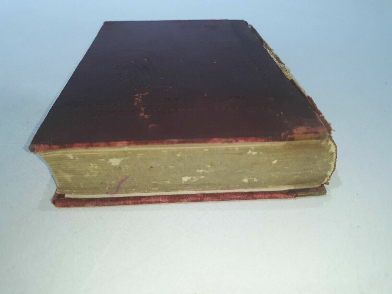 Image #5
