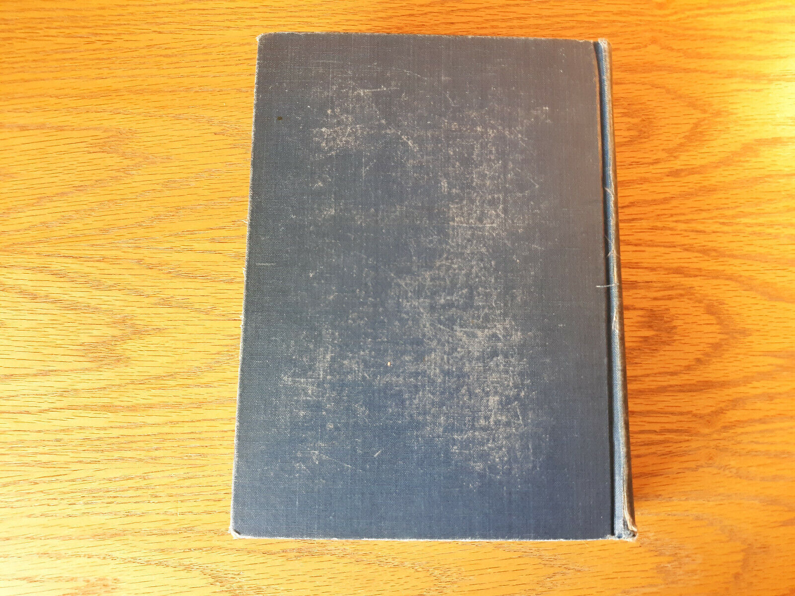 Image #6