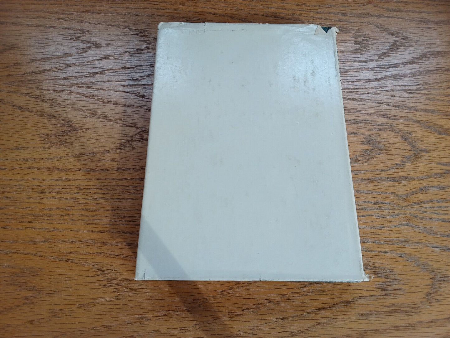 Image #6