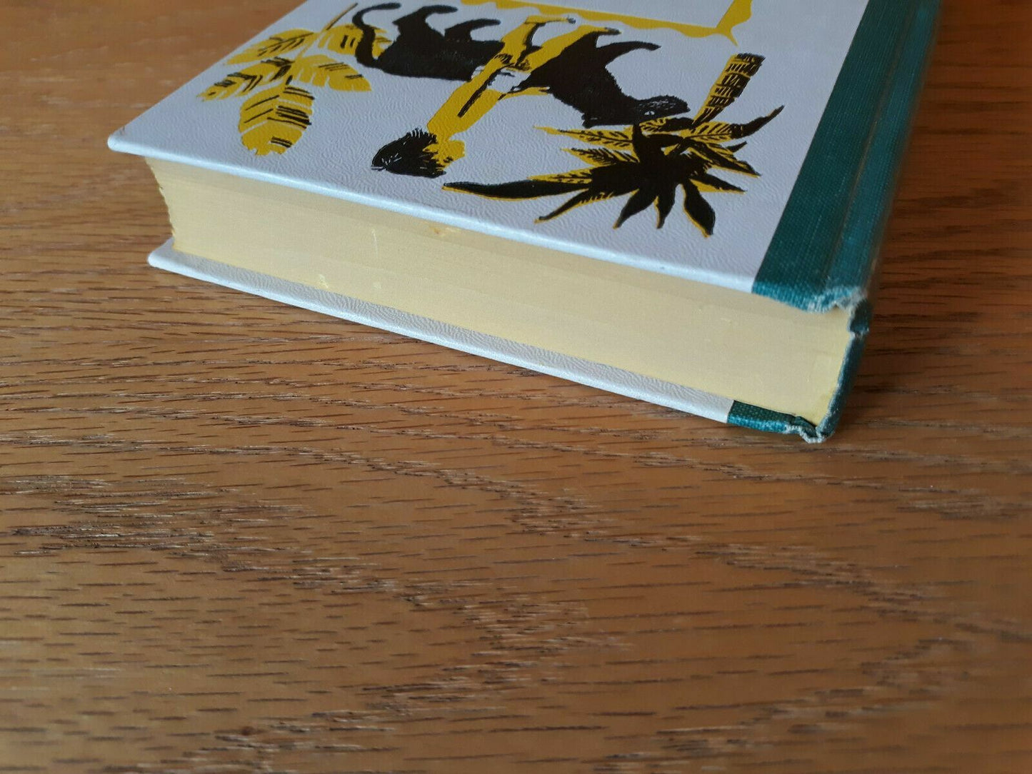 Image #4