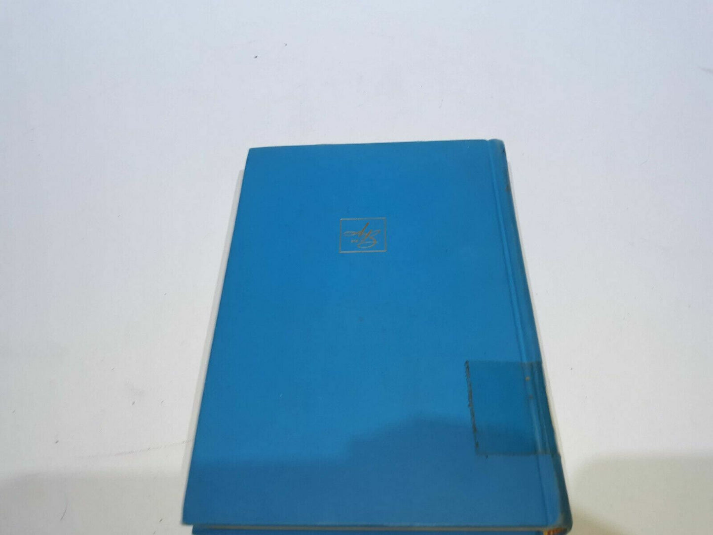 Image #7