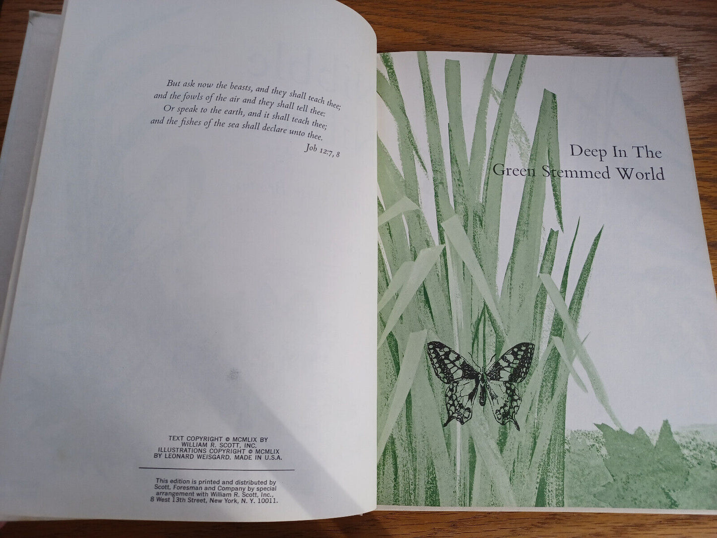 Image #8