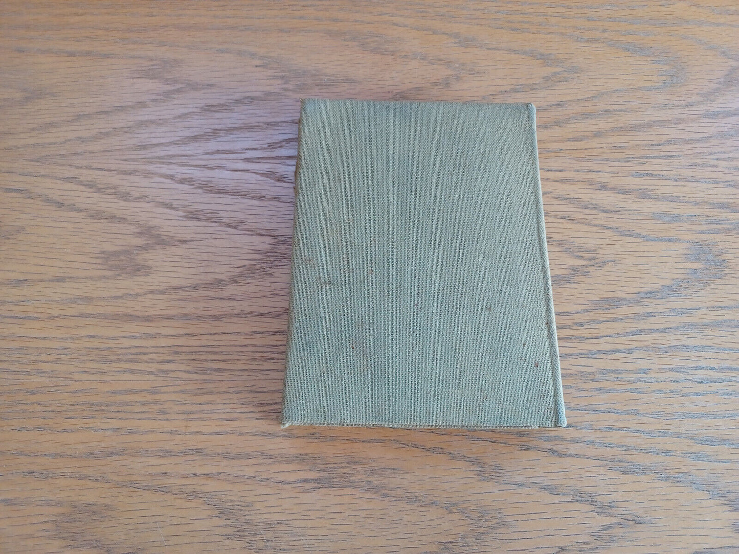 Image #6