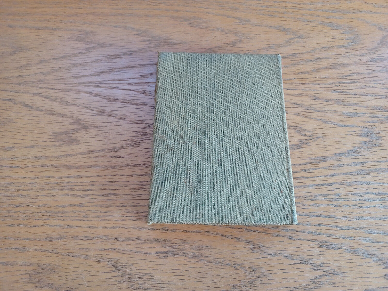 Image #6