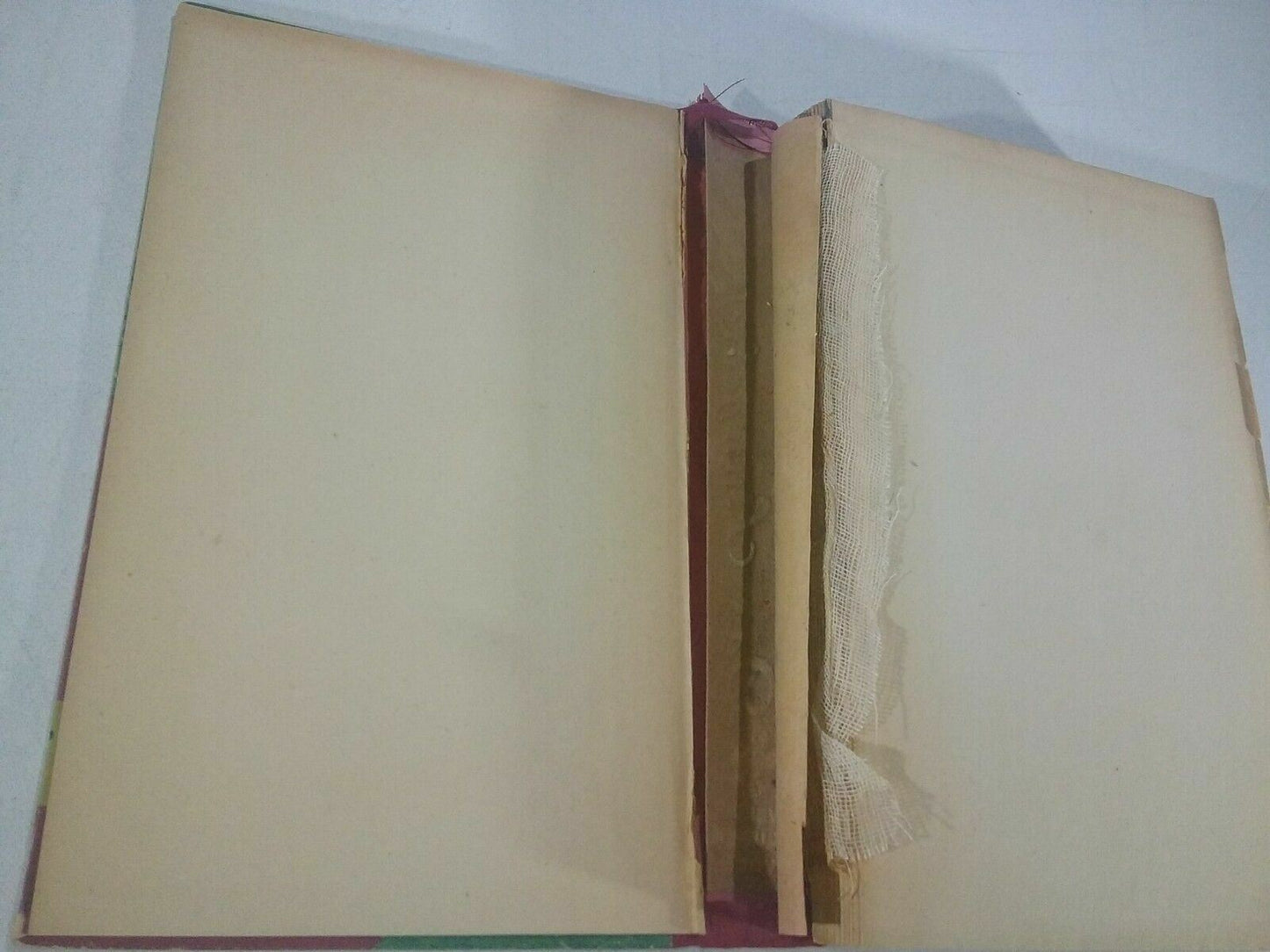 Image #7
