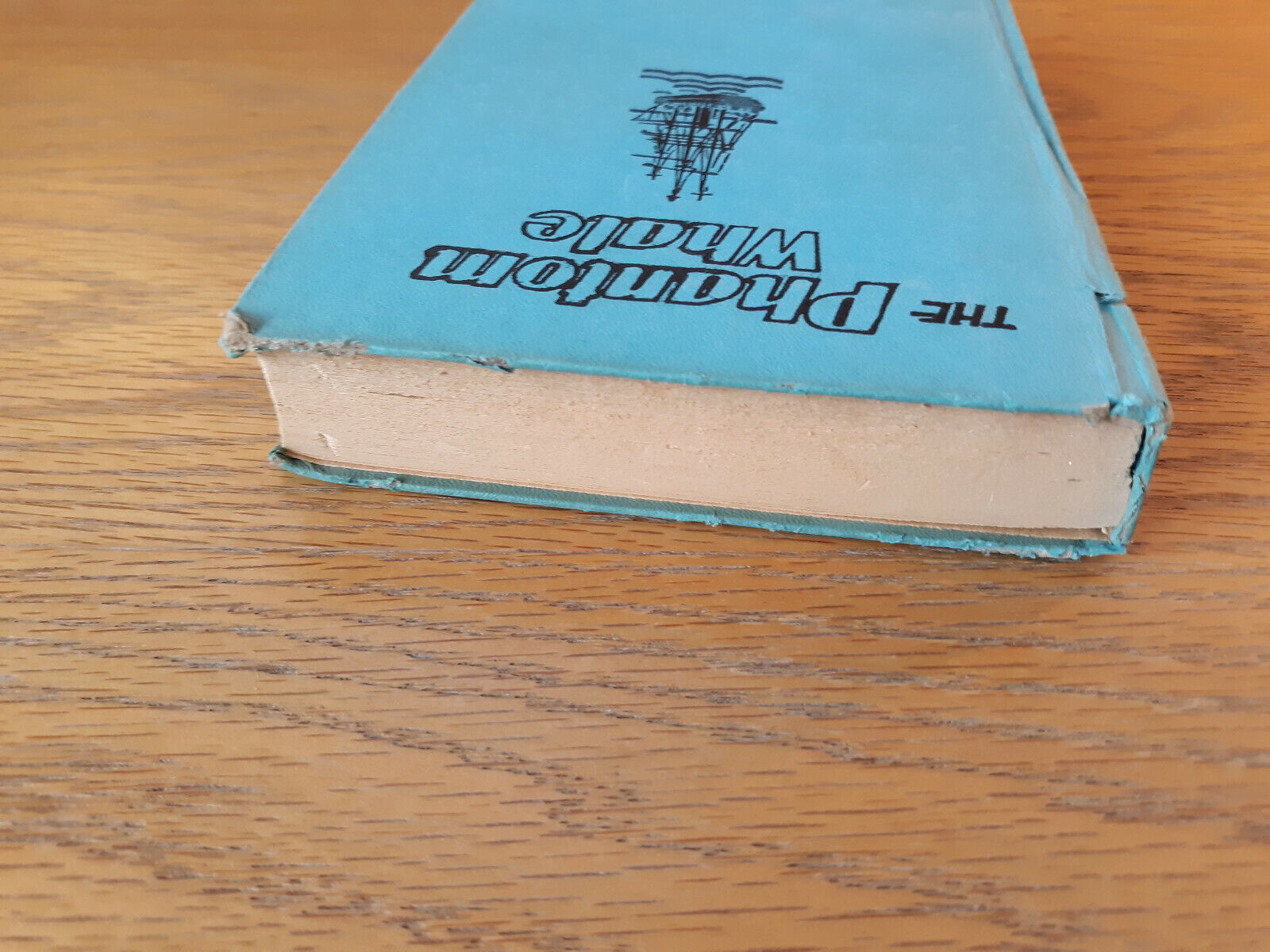Image #4