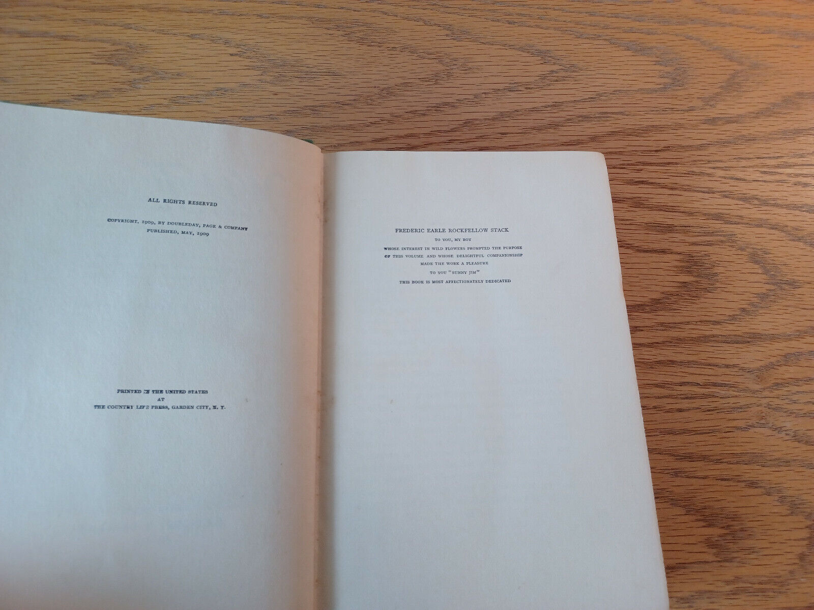 Image #8