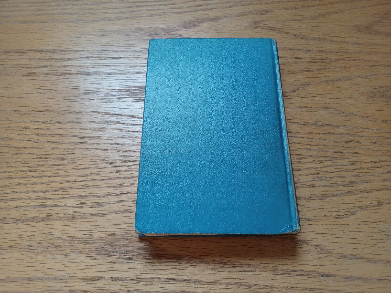 Image #6