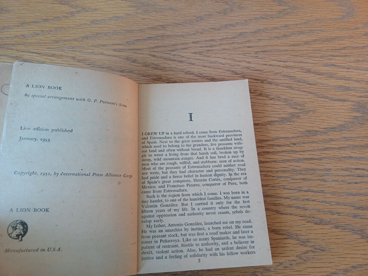 Image #9