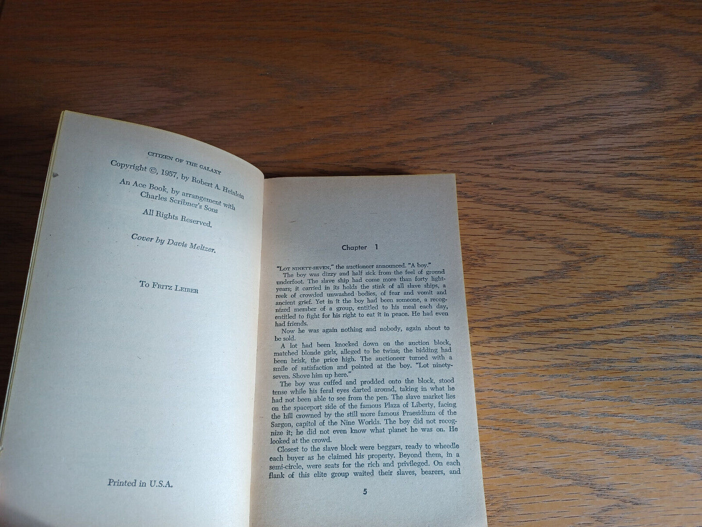 Image #8