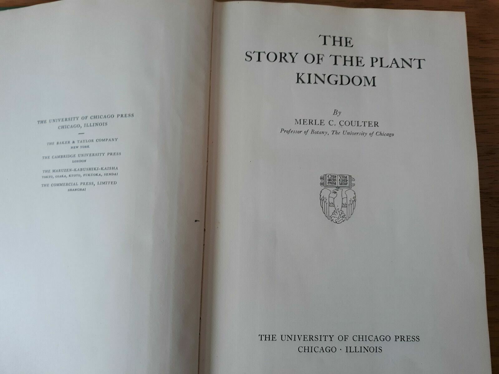 Image #8